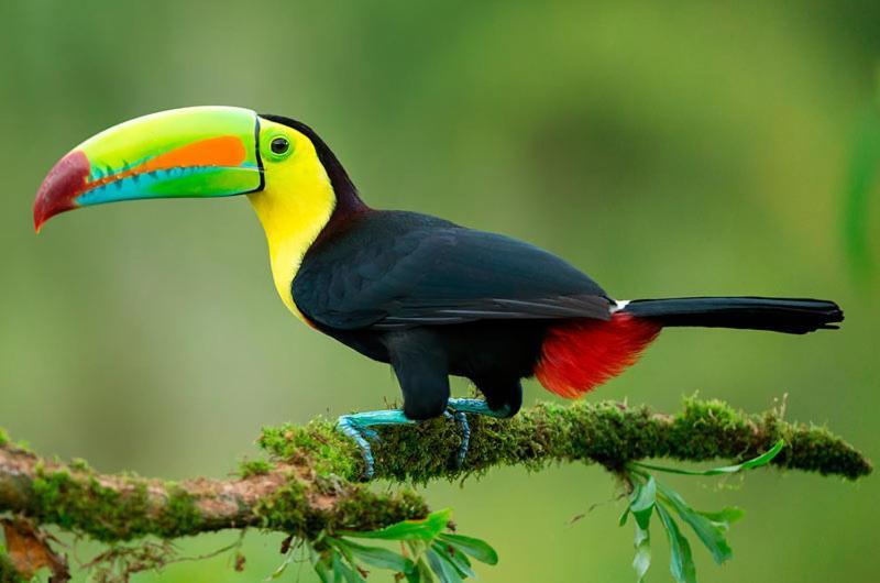 Esquina Lejana Ecolodge بالومينو المظهر الخارجي الصورة