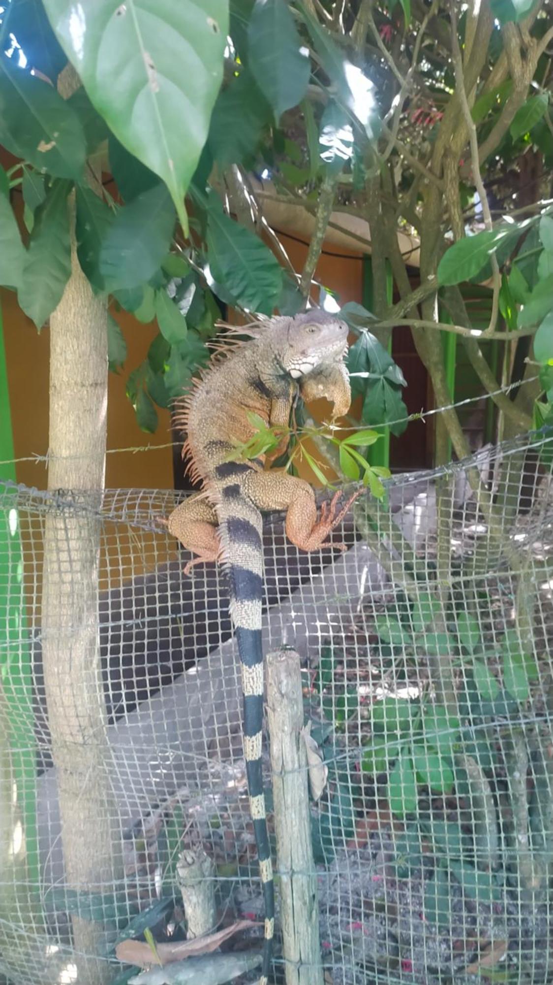 Esquina Lejana Ecolodge بالومينو المظهر الخارجي الصورة